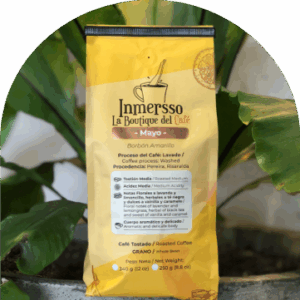 Inmersso-Mayo-300x300 Inmerso Mayo