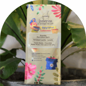 Risaralda-300x300 (1) Inmerso Regional / Risaralda